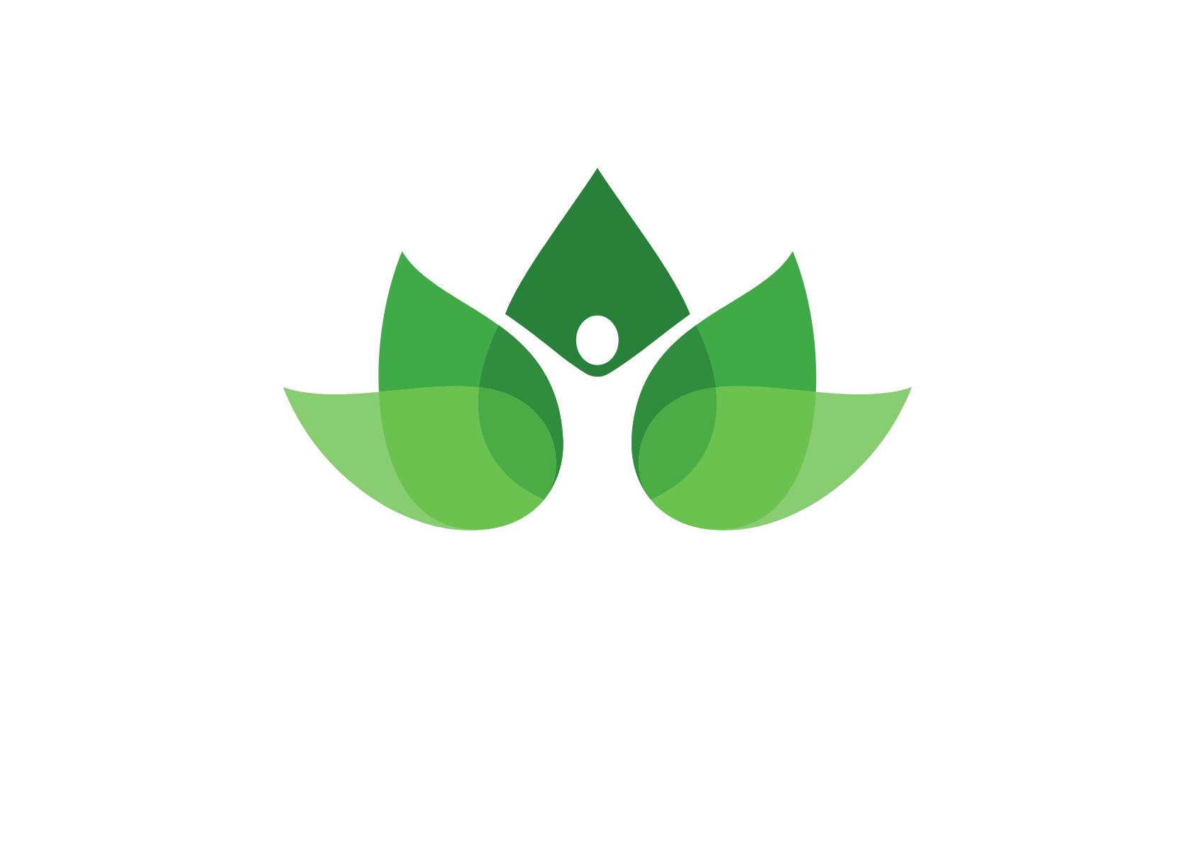 Nutricionista em São Paulo - Nutricionista Especializada. Nutricionista em São Paulo - Atendimento on-line para todo Brasil. Atendimento personalizado com planos nutricional individuais, grupo e familiar.